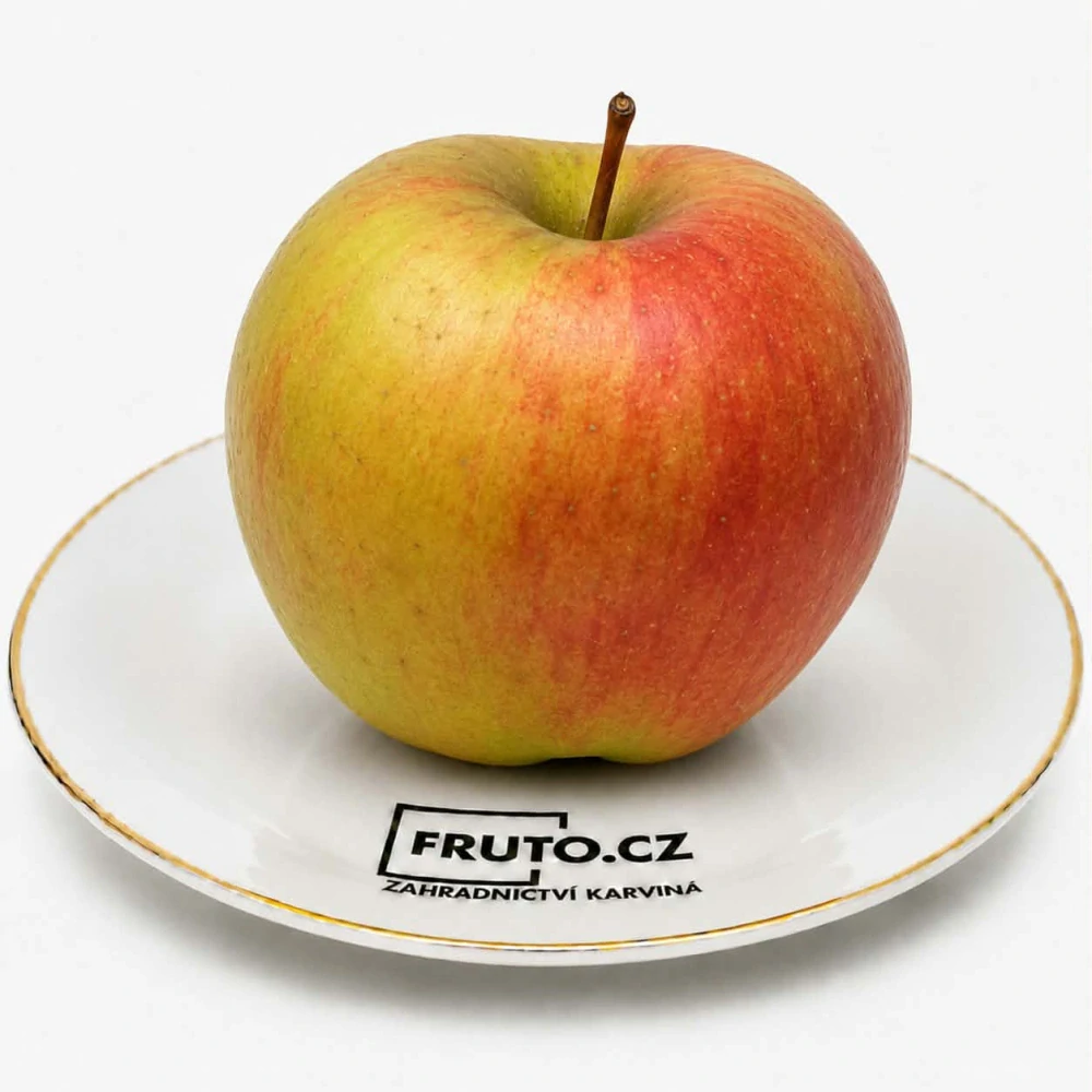 Jabloň Coxova reneta