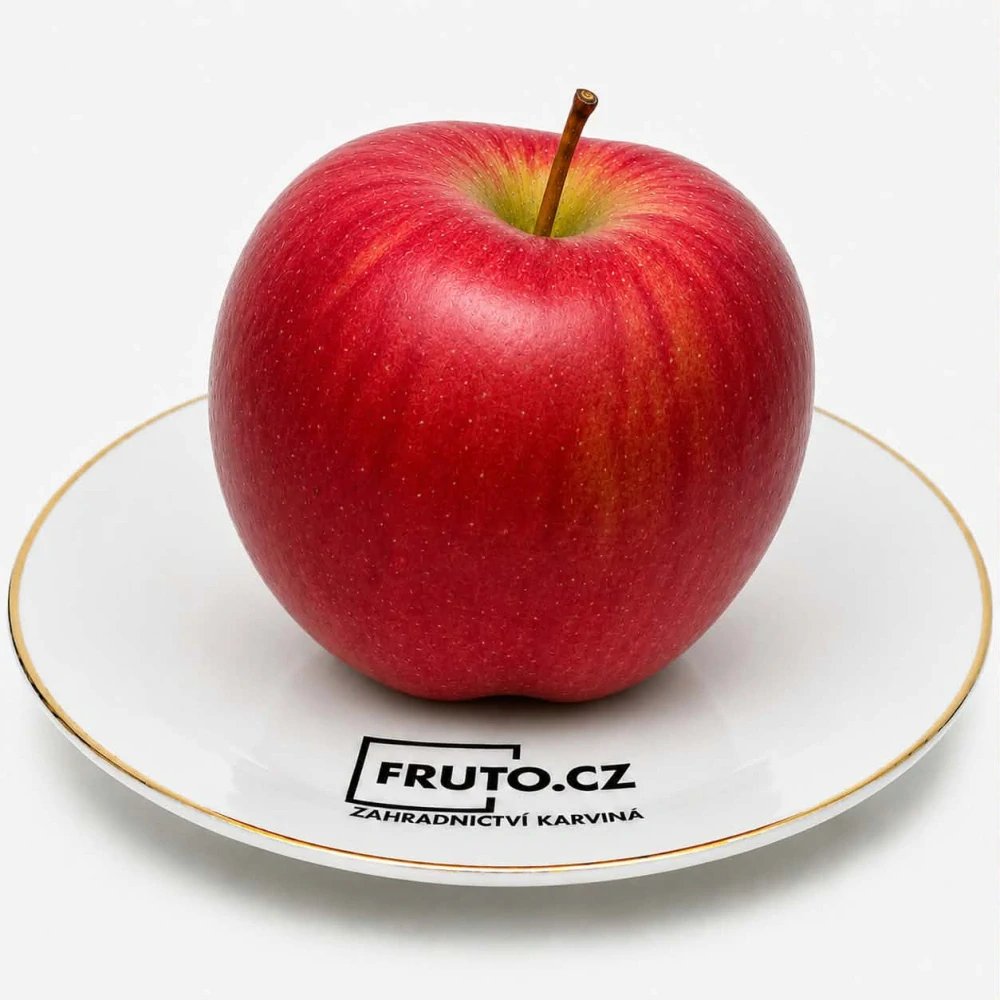 Jabloň Rubín