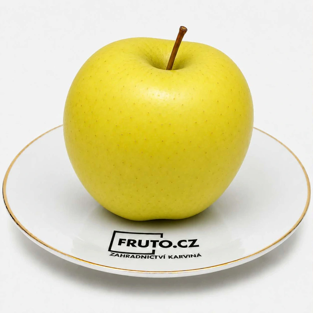 Jabloň Golden Delicious