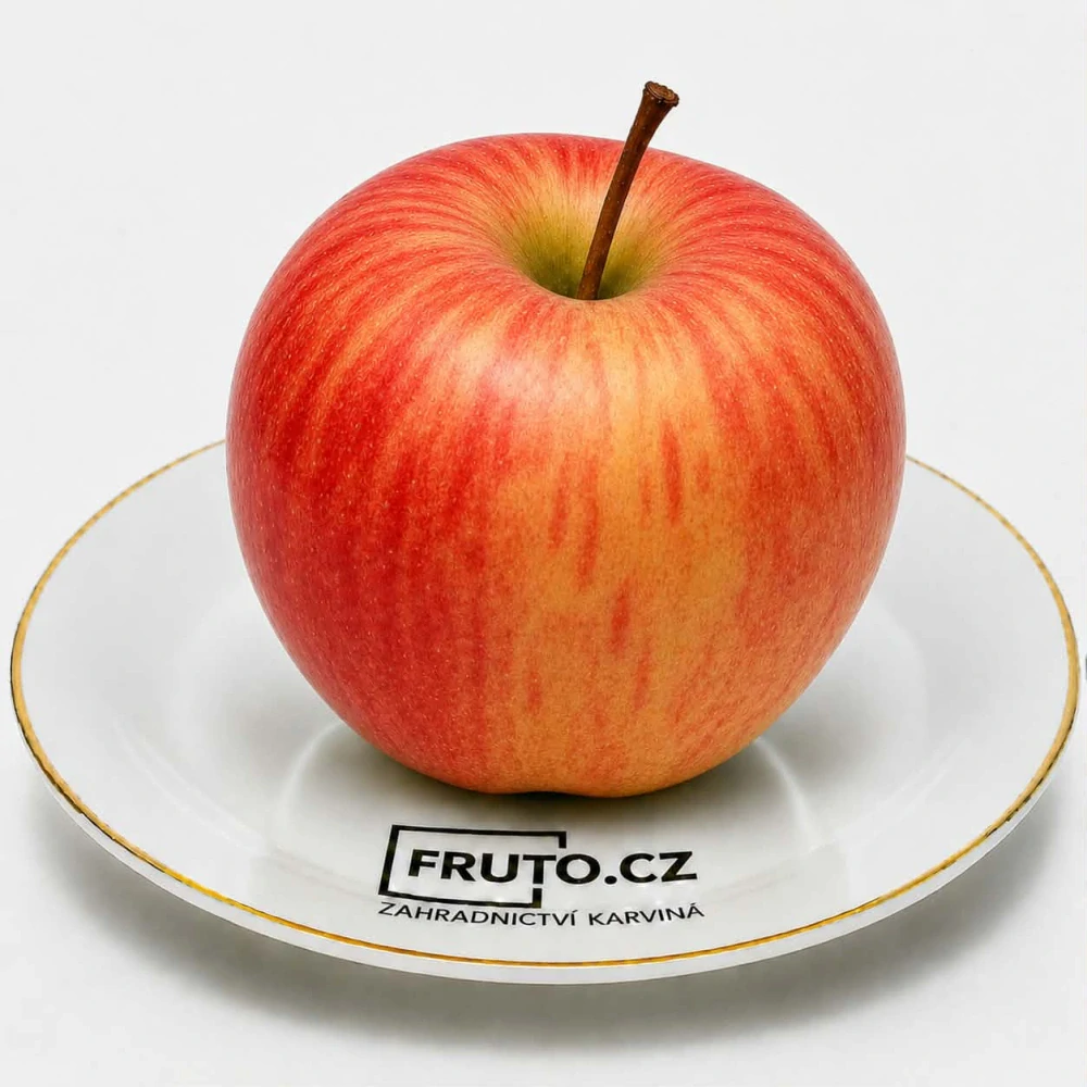 Jabloň Gala