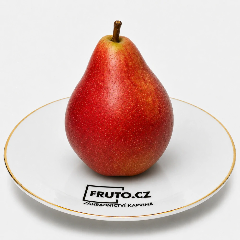 Hrušeň Red Favorytka
