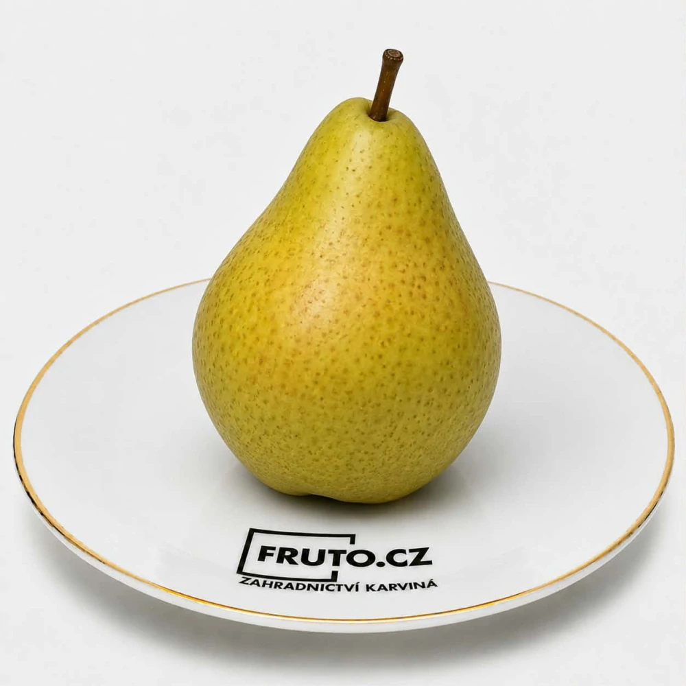 Hrušeň Bera Hardego