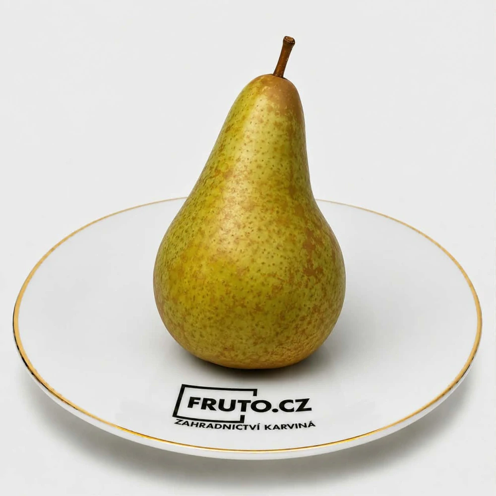 Hrušeň Konference