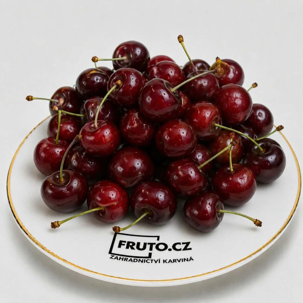 Třešeň sloupovitá - zakrslá Helene