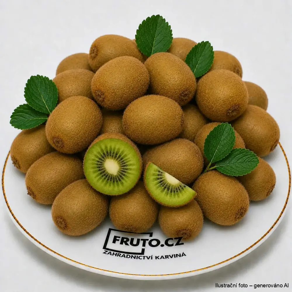 Kiwi Hayward samosprašné v kontejneru