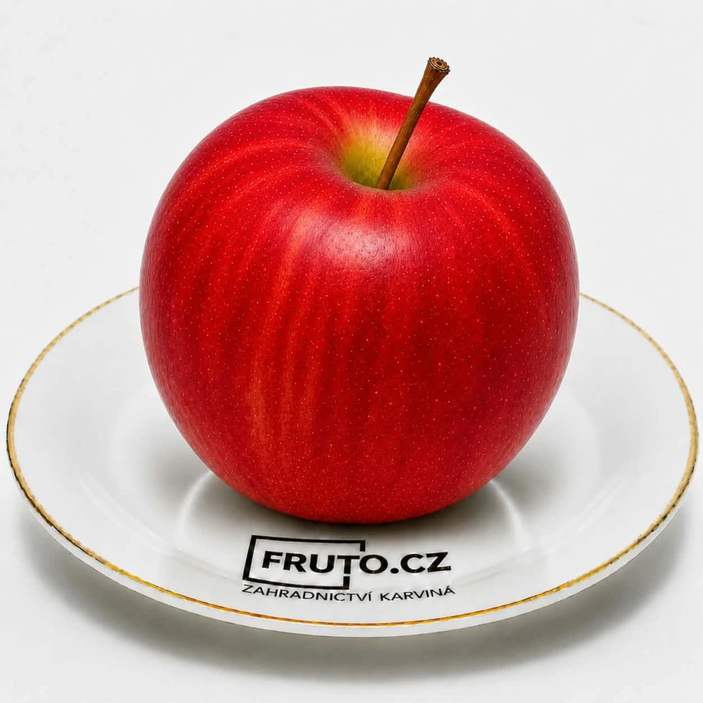 Sloupovitá jabloň Flamenco