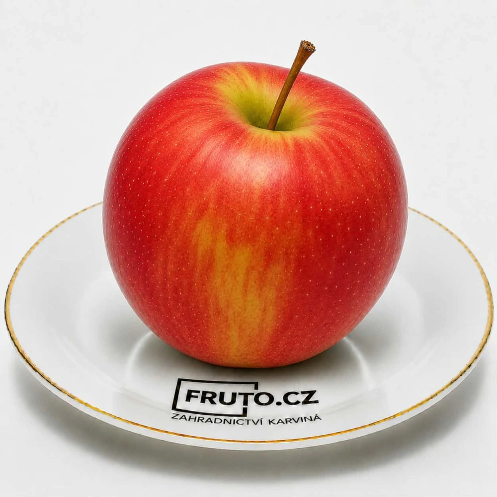 Sloupovitá jabloň Mallini Equelibro (Holovouský malináč) - prostokořená
