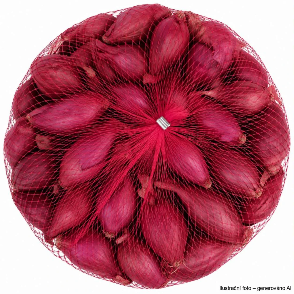 Cibule sazečka - červená Red Baron síťka 500g