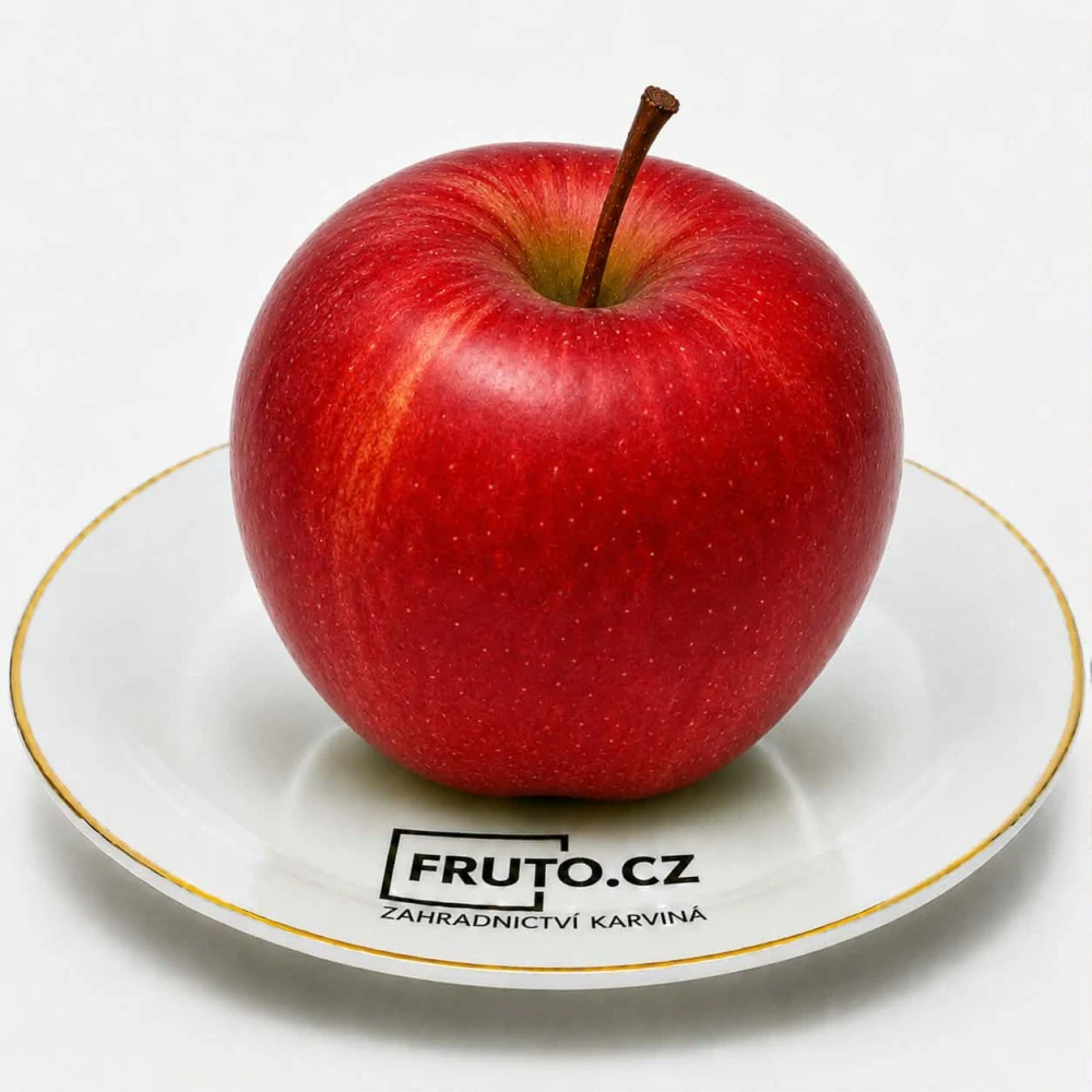 Jabloň Rajka