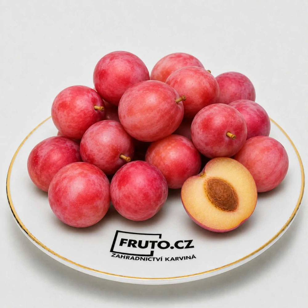Sloupovitá mirabelka Rubi - RŮŽOVÉ PLODY
