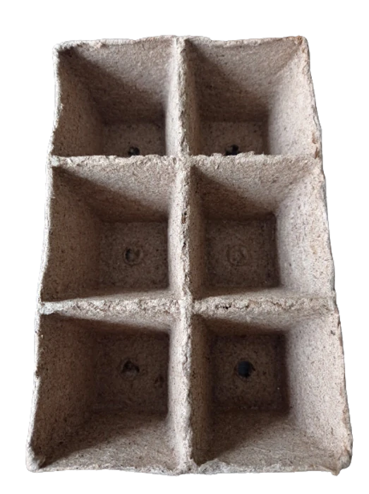 Rašelinové květináče čtvercové Jiffy 8x8 cm - 6ks