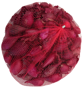 Cibule sazečka - červená Red Baron síťka 500g