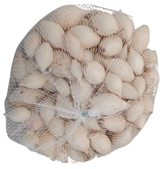 Cibule sazečka - bílá Snowball síťka 250g