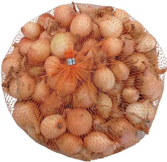 Cibule sazečka - žlutá Centurion síťka 250g