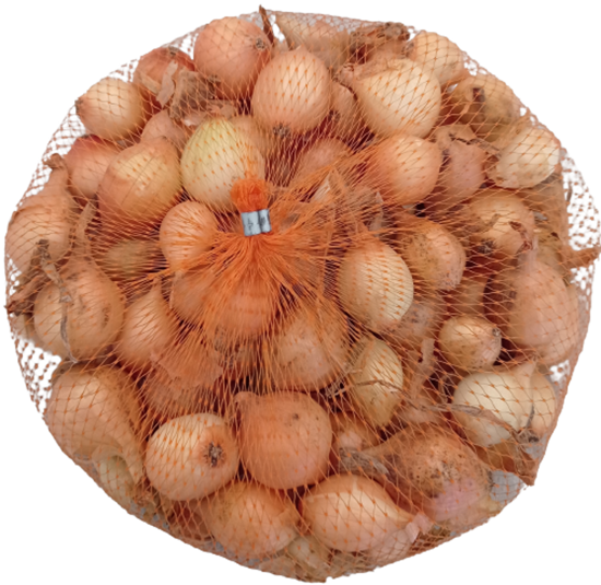 Cibule sazečka zimní - žlutá Senshyu yellow síťka 500g