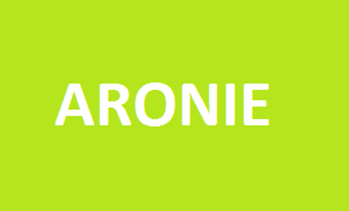 Arónie Černá jeřabina Temnoplodec stromek v kontejneru