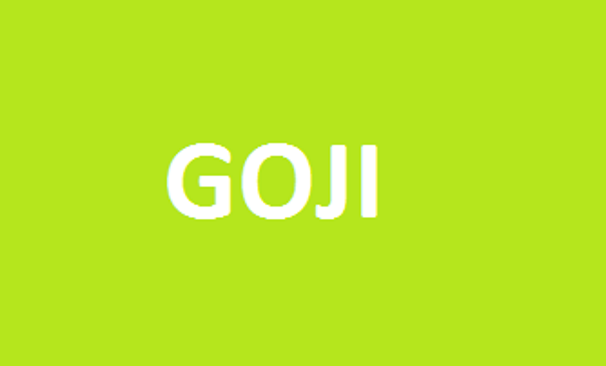 Goji - Kustovnice Čínská v kontejneru