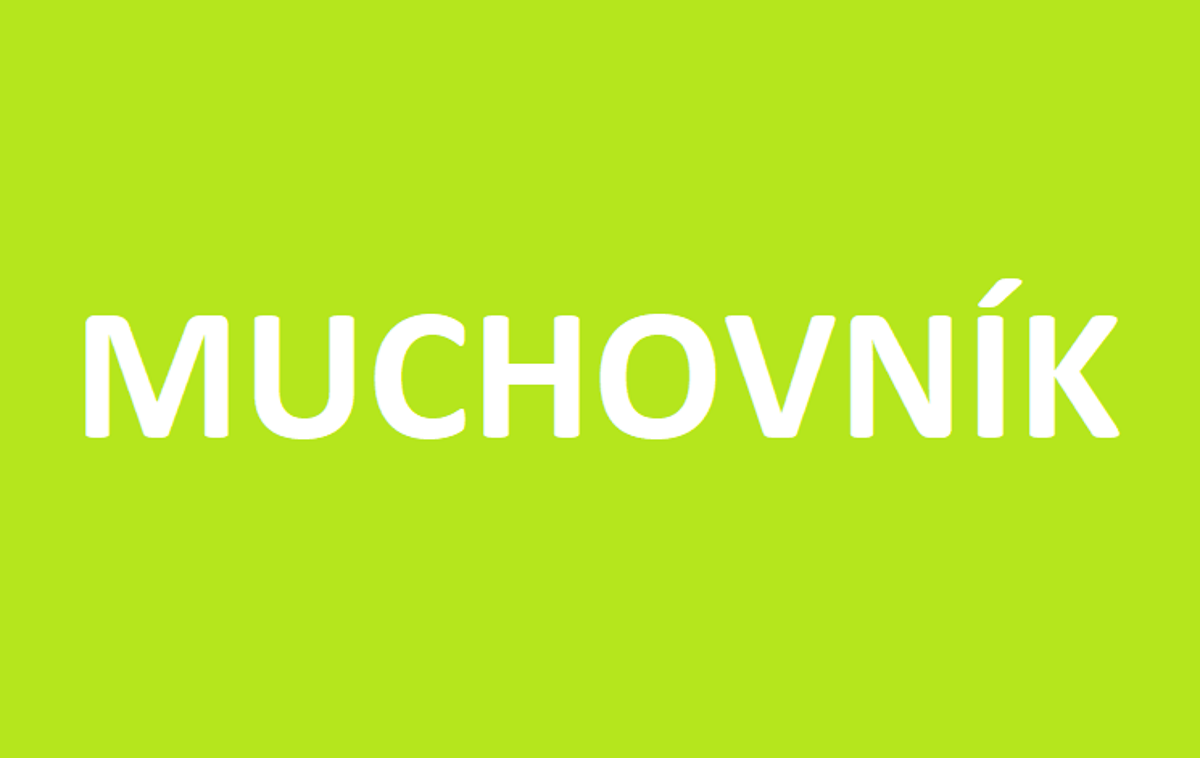 Muchovník olšolistý Sleyt - indiánská borůvka v kontejneru