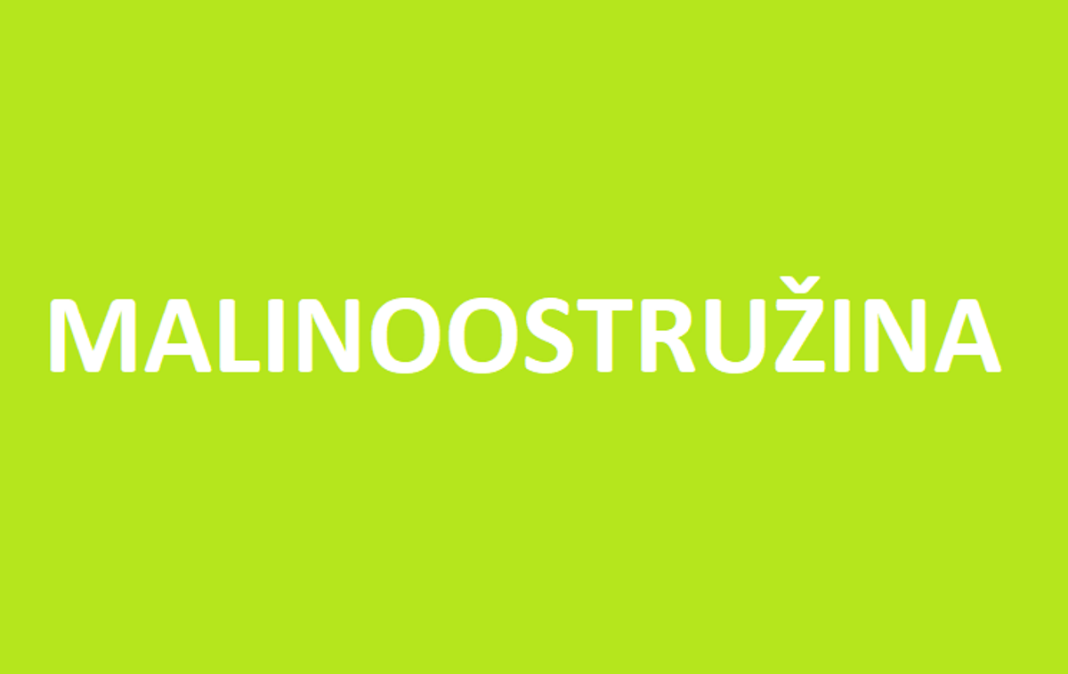Malinoostružina beztrnná Buckingham Tayberry v kontejneru
