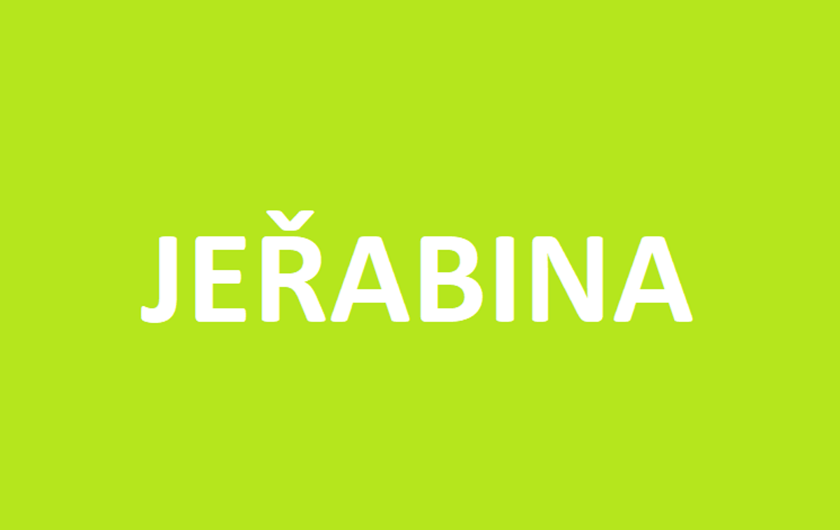 Jeřabina jedlá - JEŘÁB SLADKOPLODÝ - Stromkový roubovaný v kontejneru