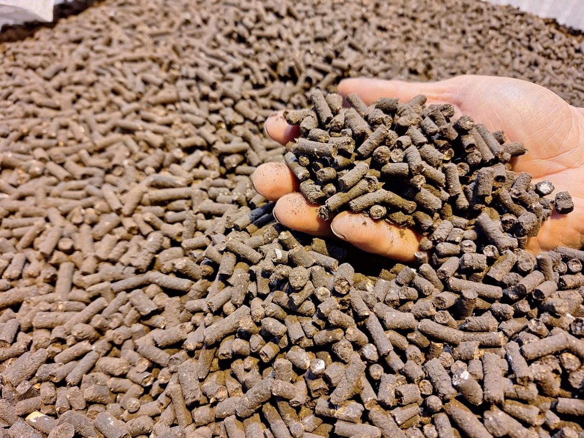 Slepičí hnůj ze dvora - 600kg BIG BAG na paletě
