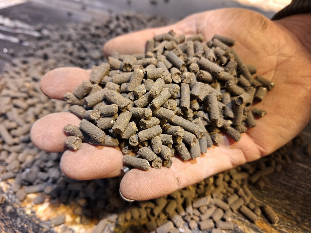 Kravský hnůj ze dvora - 10kg