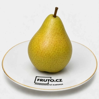 Hrušeň Bera Hardego