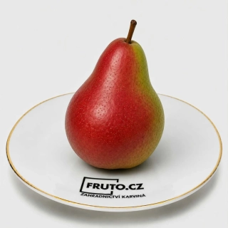 Hrušeň Dicolor