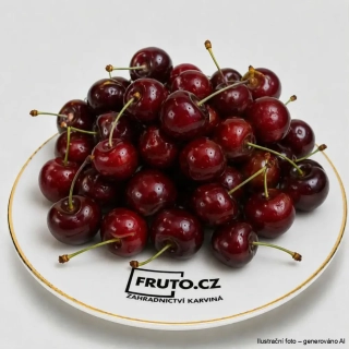 Třešeň sloupovitá - zakrslá Helene