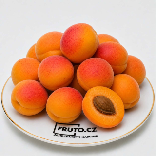 Meruňka Early Orange