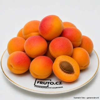 Meruňka Early Orange