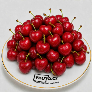Třešeň sloupovitá - zakrslá Lapins