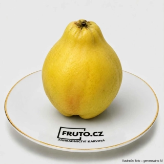 Kdouloň Bereczski