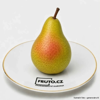 Mini sloupovitá hrušeň - zakrslá Garden Pearl