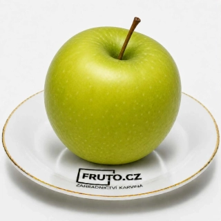 Sloupovitá jabloň Sonet