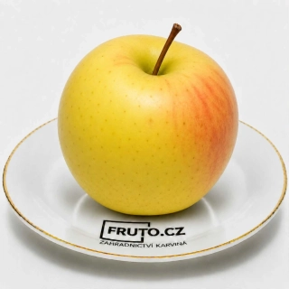 Sloupovitá jabloň Polar gold