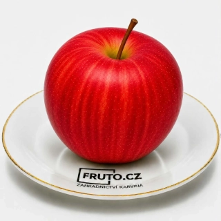 Sloupovitá jabloň Red spring - prostokořená