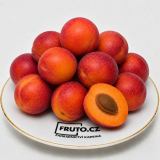 Švestkomeruňka Plumcot