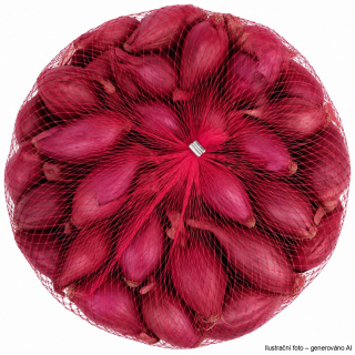 Cibule sazečka - červená Red Baron síťka 500g