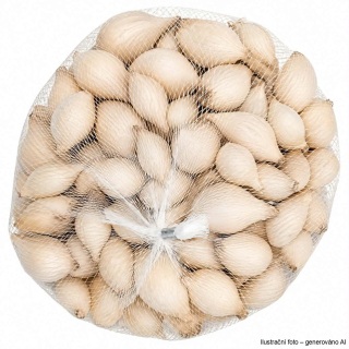 Cibule sazečka - bílá Snowball síťka 250g