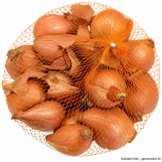 Cibule sazečka - šalotka Biztro síťka 250g