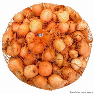 Cibule sazečka - žlutá Štutgart síťka 250g