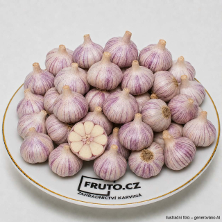 Sadbový česnek Jarus (jarní) paličák - 1x palice