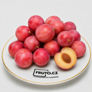 Sloupovitá mirabelka Rubi - RŮŽOVÉ PLODY