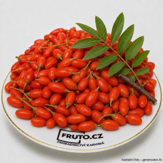 Goji - Kustovnice Čínská v kontejneru