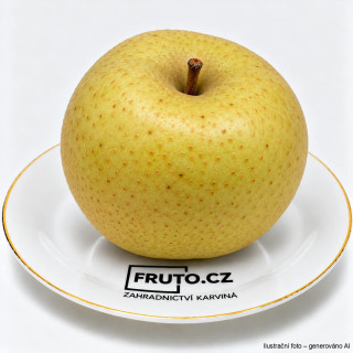 Asijská hrušeň Nijisseiki - nashi