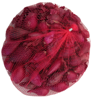 Cibule sazečka - červená Red Baron síťka 500g