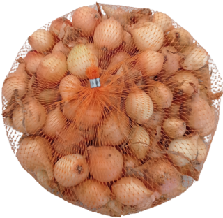Cibule sazečka - žlutá Štutgart síťka 500g