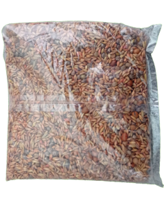 Zelené hnojení Hořčice bílá - 500g