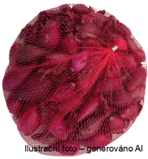 Cibule sazečka - červená Red Baron síťka 500g